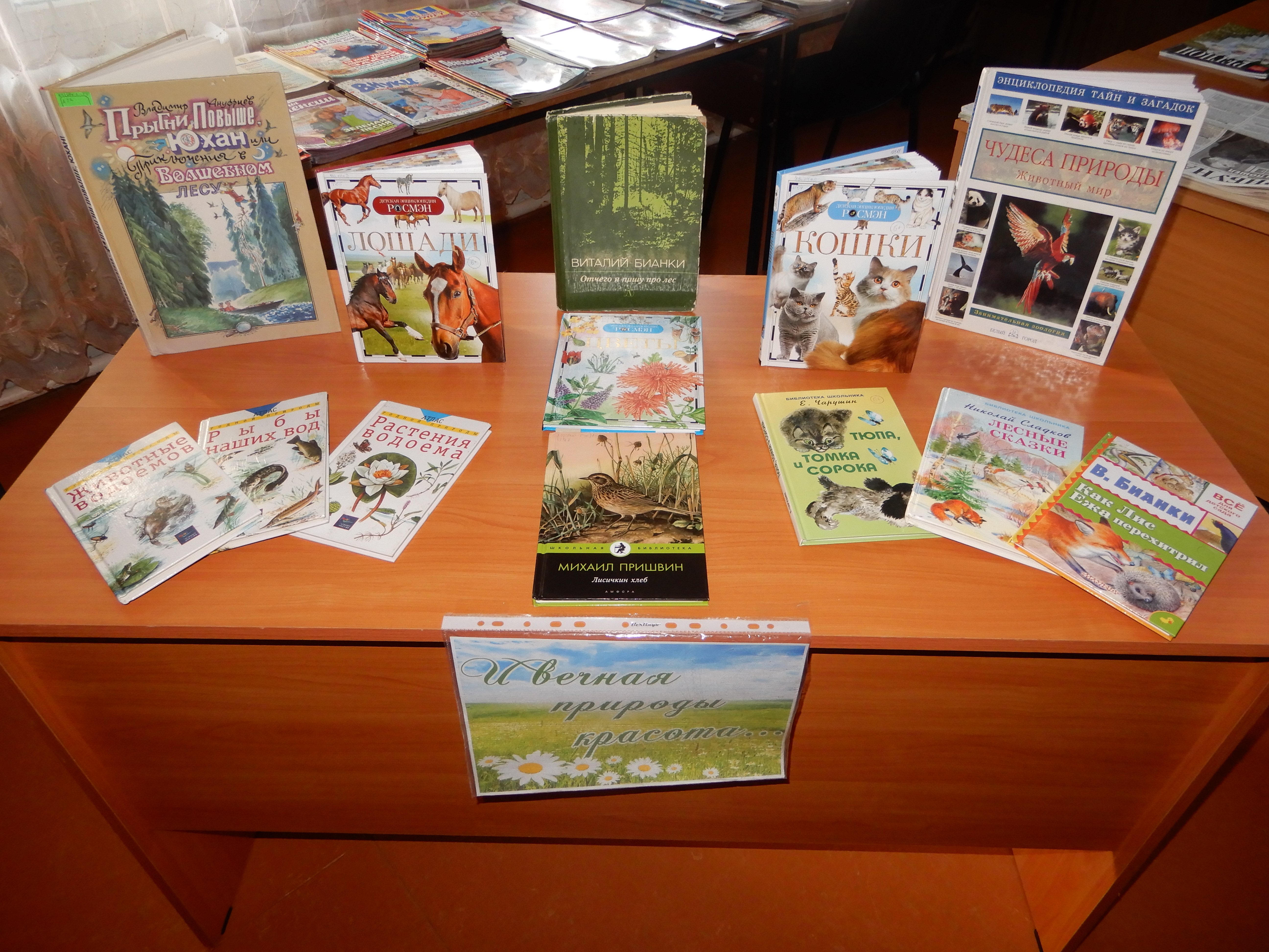 DSCN9893.JPG