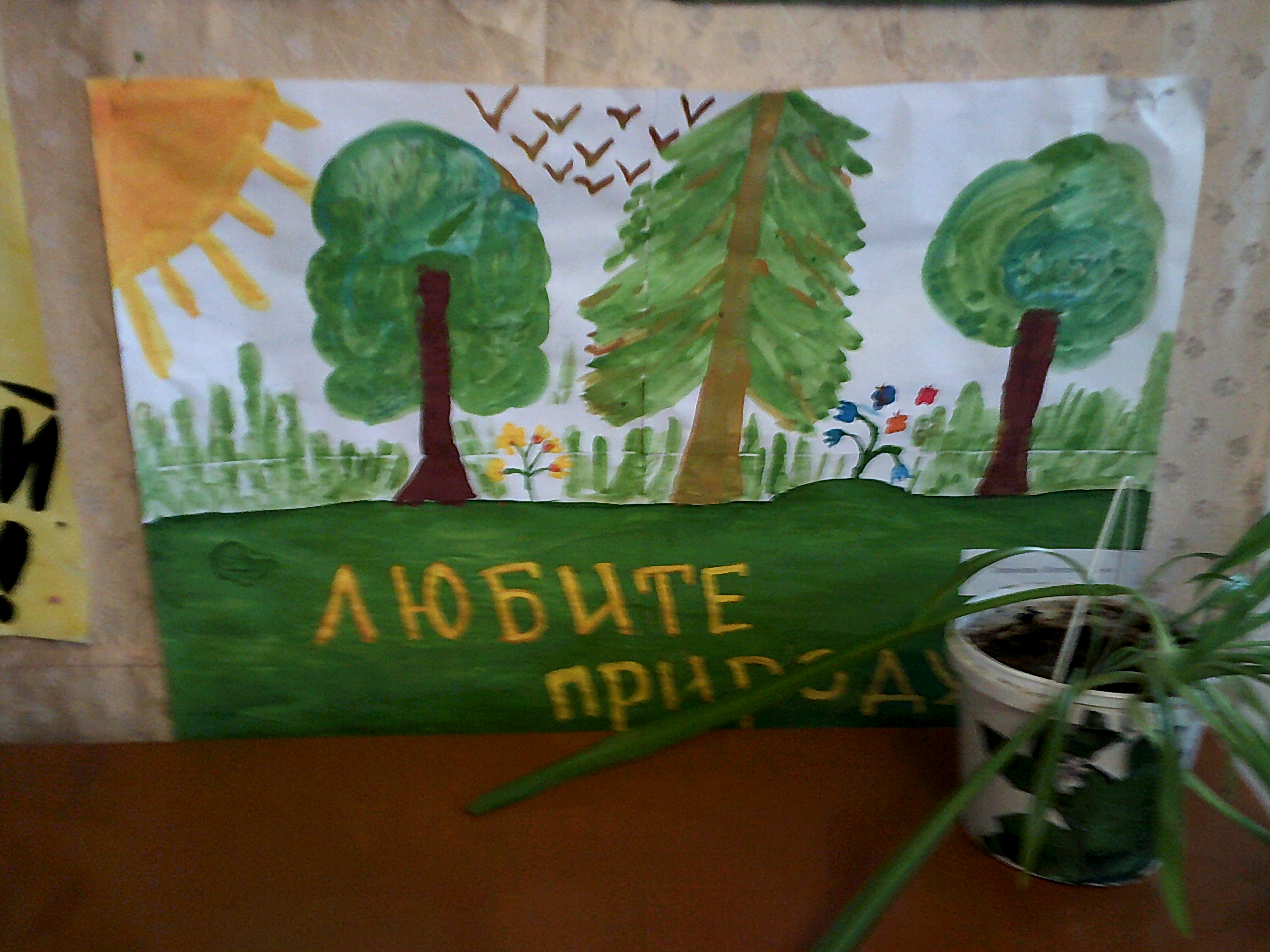 DSCF0018.JPG