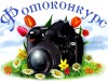 Внимание! Фотоконкурс «В объективе - книжное лето»