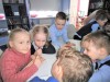 Зелёный квиз
